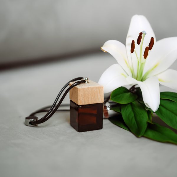 Difusor de bambu para carro – Refresque seu veículo com o aroma verde e fresco das flores da primavera e do bambu. Este difusor neutraliza odores indesejados, criando uma atmosfera limpa e revigorante para uma experiência de condução agradável.